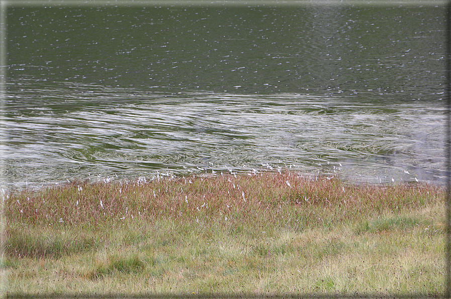 foto Lago delle Buse